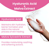 Care4Her Vaginal Foam